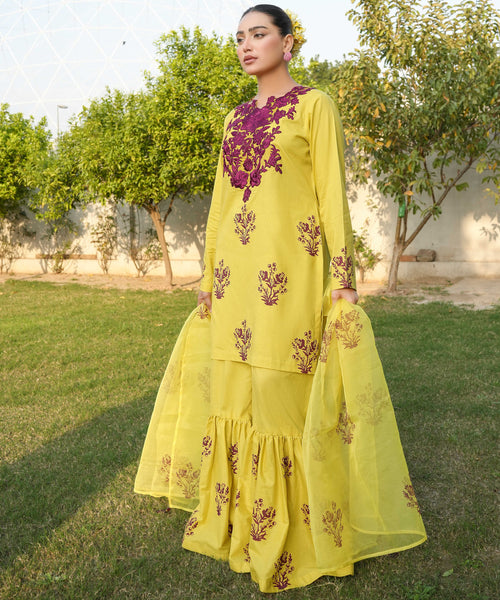 3 PIECE EMBROIDERED GHARARA SET